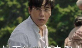 斩虎和陈泽爆料视频大全,揭秘事件真相与幕后黑幕