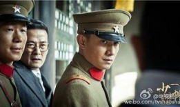 少帅在线观看全集免费,揭秘民国风云，重温传奇人生