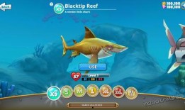 饥饿鲨世界最新鲨鱼爆料,最新鲨鱼品种大曝光！