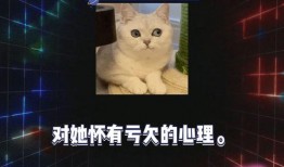 娱乐八卦吃瓜直播视频下载,娱乐八卦视频下载攻略