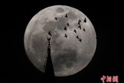 超级月亮在线观看,在线共赏天文奇观