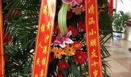 花篮网爆料最新视频大全,视频大全精彩瞬间大盘点
