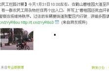 碧桂园最新事件爆料视频,揭秘背后真相与影响
