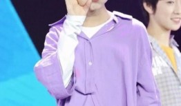 圈内爆料tf三代小说,揭秘新一代偶像的崛起之路