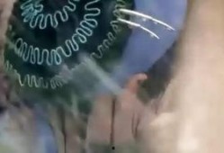 在线观看 青蛇,千年情缘，爱恨交织的传奇