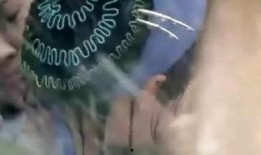 在线观看 青蛇,千年情缘，爱恨交织的传奇