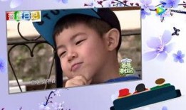 娱乐新闻大爆料网站官网,娱乐新闻大爆料官网独家放送