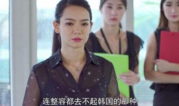 韩国上司在线观看,职场风云背后的故事