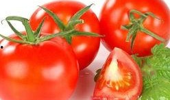 番茄娱乐圈吃瓜读心,吃瓜读心，揭秘明星幕后真相