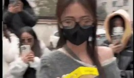 吃瓜八卦爆料完整版视频,完整版视频深度解析
