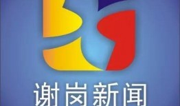 谢岗爆料新闻事件视频,揭秘背后真相