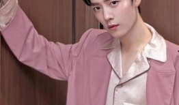 圈内爆料肖战真的吗