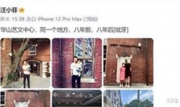娱乐圈惊天大爆料小说,惊天大爆料背后的真相揭秘