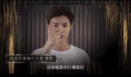 原神爆料大表哥视频在线观看,揭秘游戏新内容与精彩瞬间