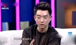 郑恺爆料最新,娱乐圈背后的不为人知真相