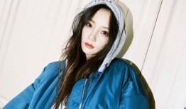 李小璐网友爆料事件视频,网友热议真相与争议