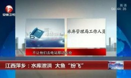 830梧州新闻爆料,聚焦热点事件，揭秘幕后真相
