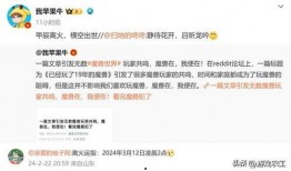 网易张栋微博最新爆料视频,揭秘科技巨头背后秘密！