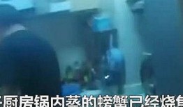 杭州临安偷拍爆料事件最新,隐私边界与网络曝光的较量