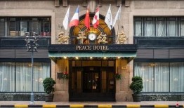 和平饭店在线观看,探秘民国风云，揭秘神秘往事