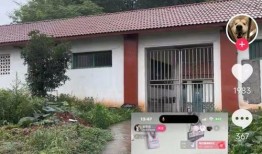 网友爆料救助流浪狗视频,温情瞬间感动网友