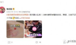 圈内爆料综艺cp真假,CP组合真假情谊大揭秘