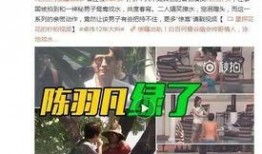 谭竹一家人被爆料视频,温馨瞬间与争议瞬间并存