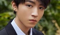 辉叔爆料王俊凯视频全集,王俊凯视频全集幕后真相大曝光