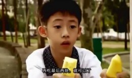 小呆瓜吃凤梨视频大全免费观看,免费观看视频大全集锦