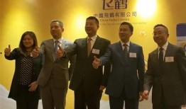 飞鹤最新爆料消息今天视频,揭秘今日视频背后的惊人真相