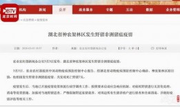 新闻爆料在哪里发布信息,新闻爆料信息发布的秘密渠道