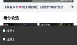 大瓜爆料视频网站下载,视频网站下载攻略全解析