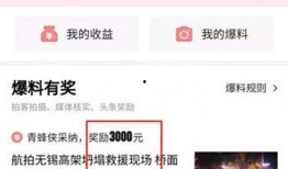 今日头条爆料点怎么设置,揭秘XX行业惊人内幕】