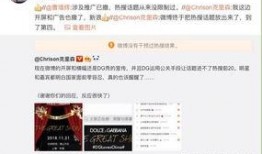 博主爆料巴基斯坦视频下载,博主爆料视频下载背后的真相