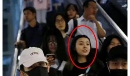王四粉丝爆料视频大全集,揭秘明星幕后故事