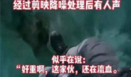 西藏客栈爆料事件视频播放,揭秘事件背后真相