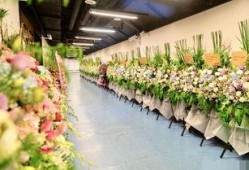 花篮网爆料最新视频大全,视频大全精彩瞬间大盘点