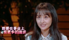 娱乐圈揭秘爆料郑爽,真相与争议背后的故事